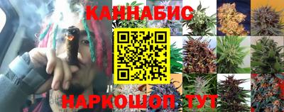 мяу мяу мука Севастополь